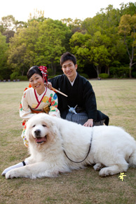 結婚式写真の着付け・撮影