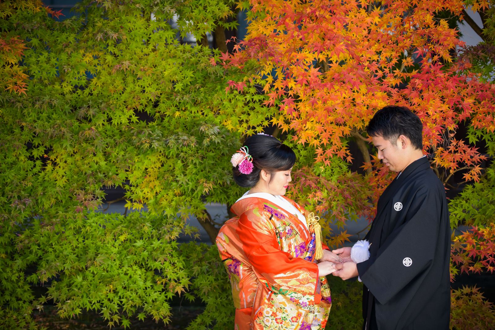 浜松市,結婚式,結婚式場,結婚式写真,式場紹介,貸衣装,婚礼衣裳,結婚式着付け,花嫁着付け
