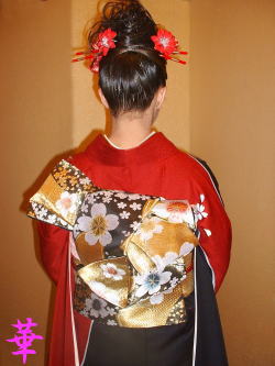 浜松市,成人式写真,貸衣装,振袖レンタル,レンタル着物,着付け,出張着付け,成人式前撮り写真,成人式振袖,成人式ヘアーメイク,成人式  浜松市,成人式写真,貸衣装,振袖レンタル,レンタル着物,着付け,出張着付け,成人式前撮り写真,成人式振袖,成人式ヘアーメイク,成人式